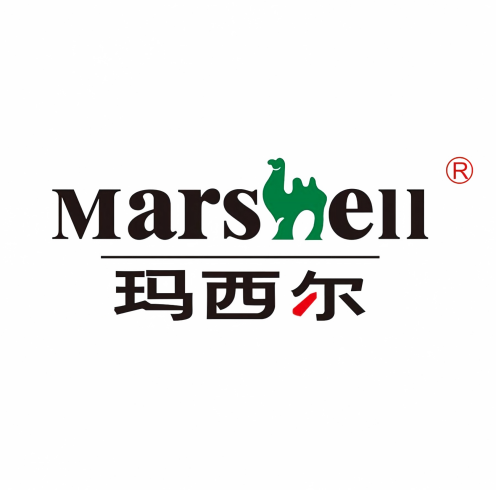 智环盛发合作客户-玛西尔电动车 智环盛发合作客户-玛西尔电动车