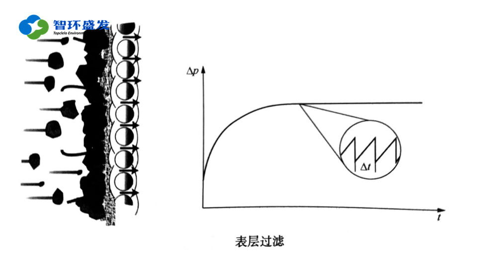 废气除尘器